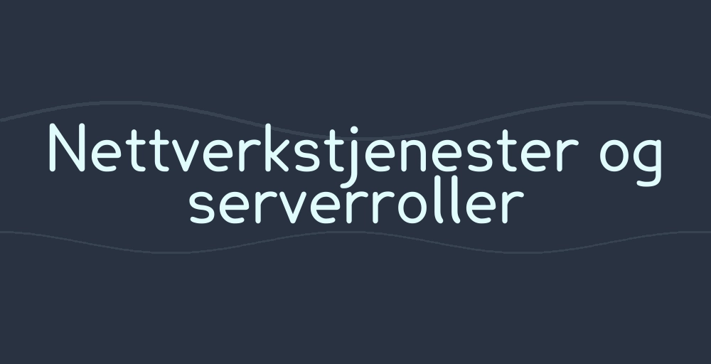 Header image for Nettverksprotokoller og tjenester