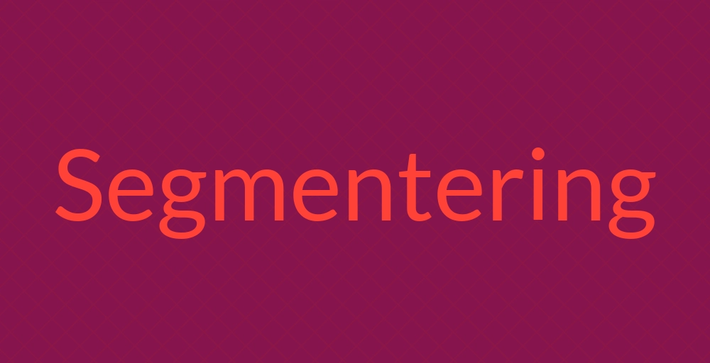 Header image for Segmentering