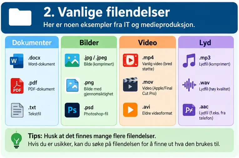 Vanlige filendelser i IT og medieproduksjon