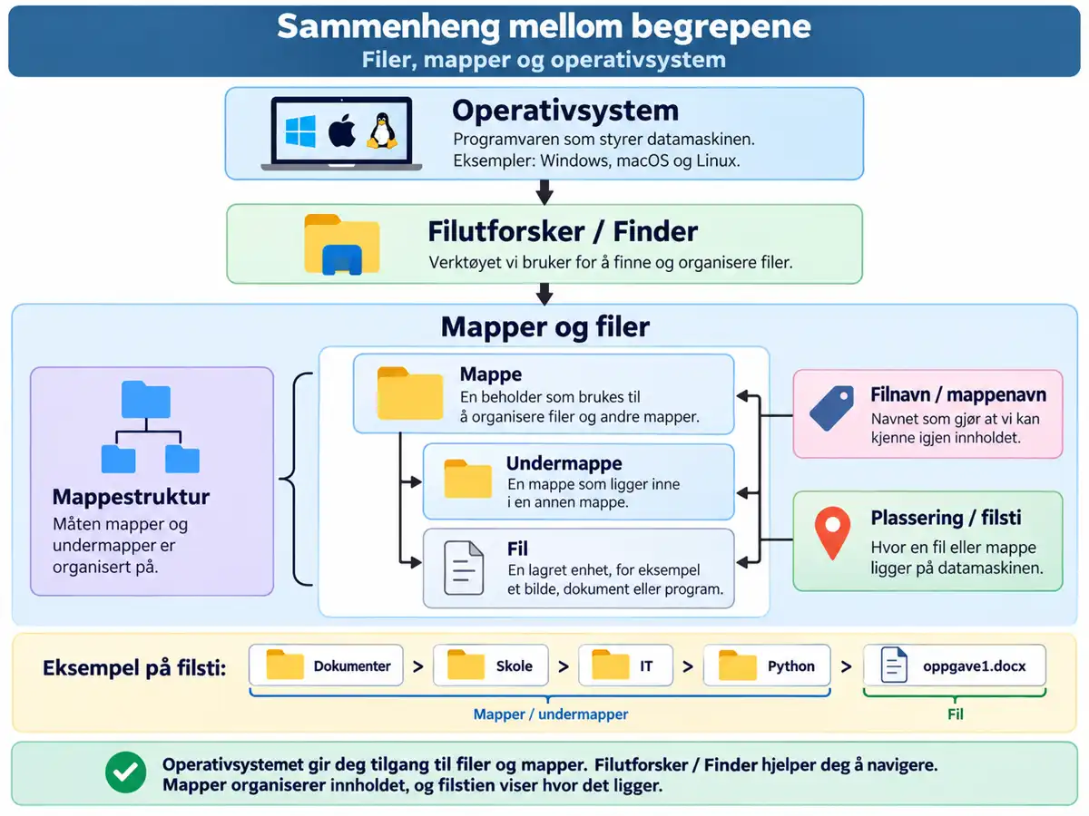 Operativsystemet organiserer filer og mapper gjennom en filbehandler