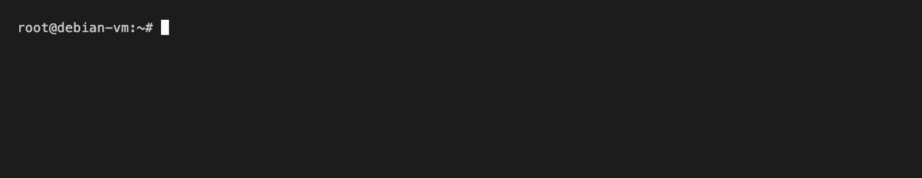 Debian: direkte HTTP-test gir 200 OK og status ok før feilen.